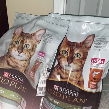 Şüpheli Ambalajlı Kedi Maması İçin İade Talebi