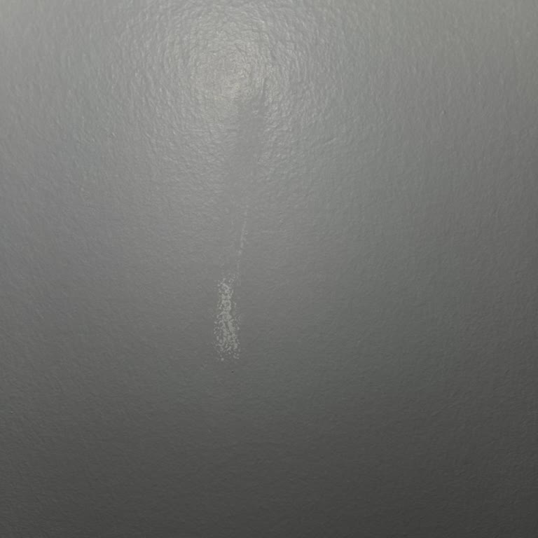 Marshall Sil-Pak Yanıltıcı Silinebilirlik İddiası