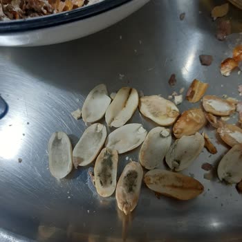 Bisa Kuruyemiş Küflü Ürünler Gönderdi