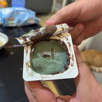 Danone Puding Ürününün Küflü Olması