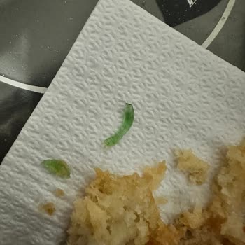 İf Eryaman Şubesinde Tavuk Yemeğinde Cam Parçası Bulunması