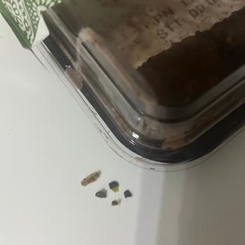 Baklavanın İçinde Taş Ve Ceviz Kabuğu Dişimi Kırdı