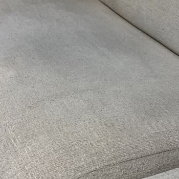 Krem Renkli Koltuklarda Erken Kararma Ve Tüylenme Sorunu