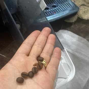 Epttavm'dan Gelen Philips 5500 Espresso Kahve Makinesi Kullanılmış Ve Hasarlı