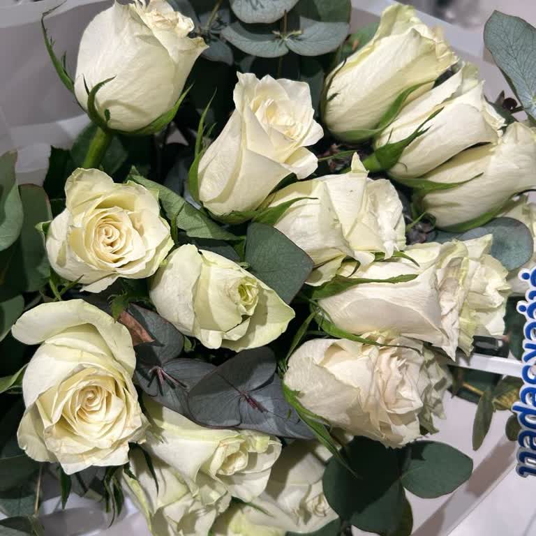 İlanla Uyuşmayan Soluk Ve Eksik Beyaz Gül Siparişi