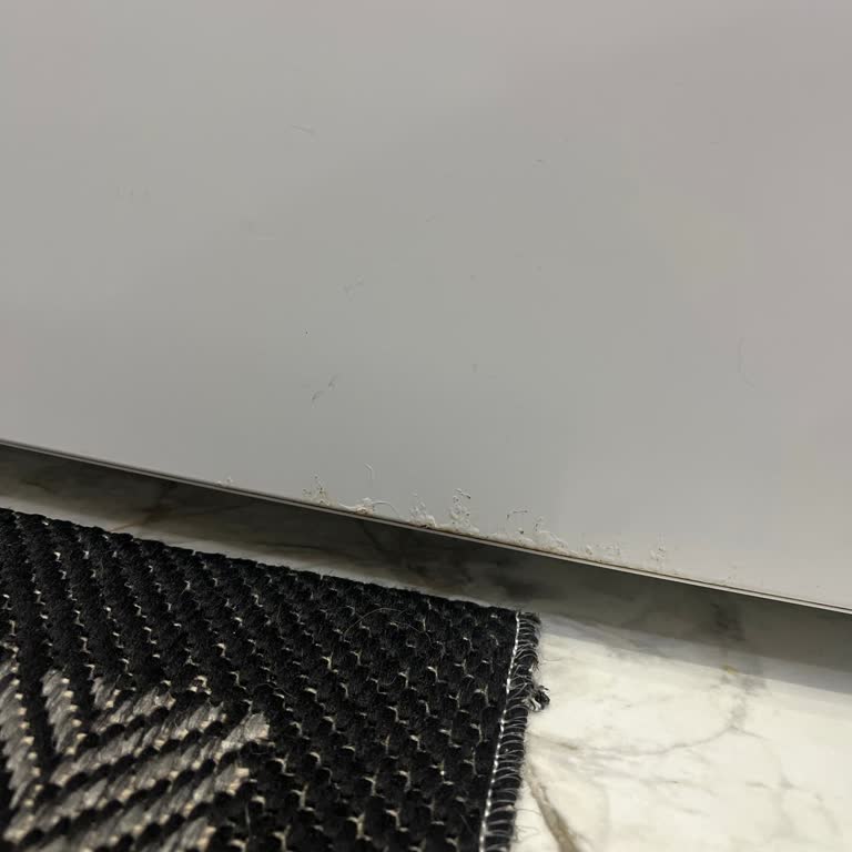 Üç Yıllık Siemens Buzdolabında Paslanma Ve Garanti Dışı Servis Ücreti Talebi