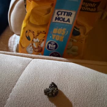 Cheetos Paketi İçinden Çıkan Siyah Cisim Sağlık Endişesi