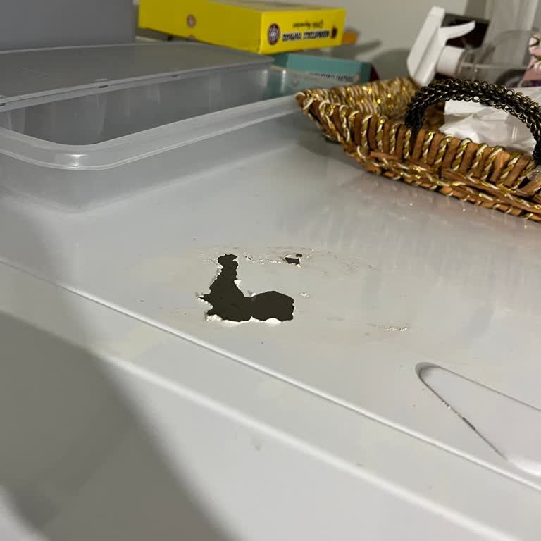 Vestel Buzdolabında Fiziksel Hasar, Yanlış Model Ve Garanti Servisi İhmal