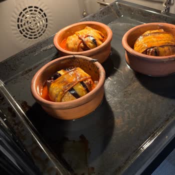 Bosch Ankastre Setinde İlk Kullanımda Tepsi Yanması Ve Ocak Gözlerinin Hızlı Kararması