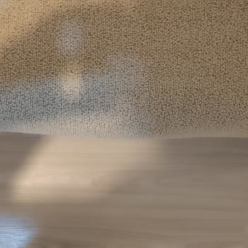 Yeni Koltuk Takımında Gıcırdama Ve Sünger Çökmesi Sorunu, Değişim Talebi