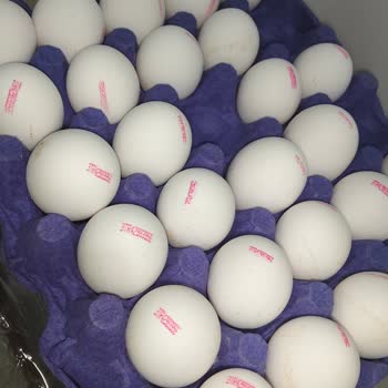 Yavuz Yumurtalarındaki Boyut Farklılığı Üzerine Şikayet Ve İade Talebi