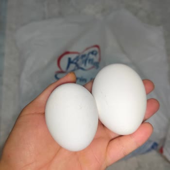 Yavuz Yumurtalarındaki Boyut Farklılığı Üzerine Şikayet Ve İade Talebi