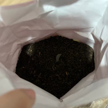 Çaykur Tiryaki Siyah Çayda Plastik Ve Mika Karışımı Yabancı Cisim