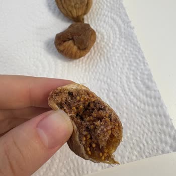 Migros Kuru İncirde Böcek Bulunması Ve Sağlık Tehdidi