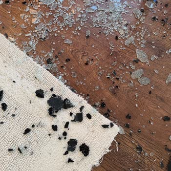 Garanti Kapsamındaki Cam Patlaması İçin Ürün Değişimi Ve İade Talebi