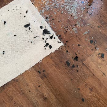 Garanti Kapsamındaki Cam Patlaması İçin Ürün Değişimi Ve İade Talebi