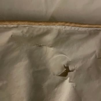 Penelope Yorganı Kurutma Sonrası Tüylendi, Dayanıksızlığı Kabul Edilemez