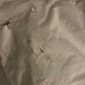 Penelope Yorganı Kurutma Sonrası Tüylendi, Dayanıksızlığı Kabul Edilemez