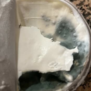 Sancak Süt Ne Bir Dönüş Yapıldı Ne De Herhangi Bir Telafi Ürünü Tarafıma Gönderildi