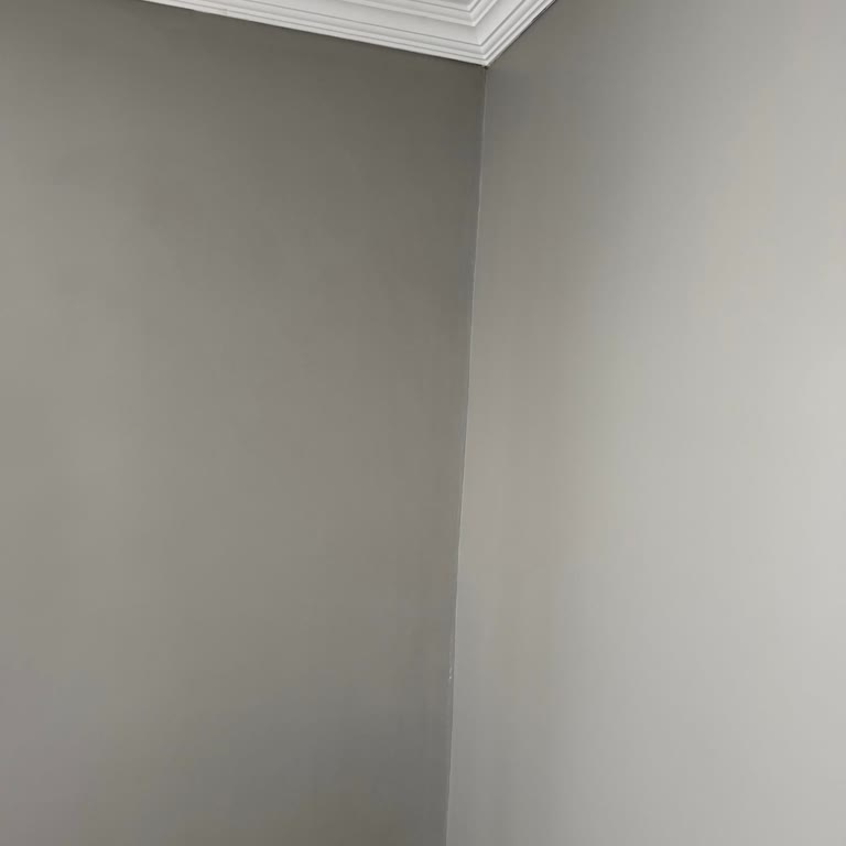 Marshall Boyasında Renk Uyuşmazlığı Ve Çözüm Talebi