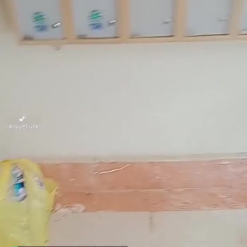 Şok Marketler Siparişlerin Hali!
