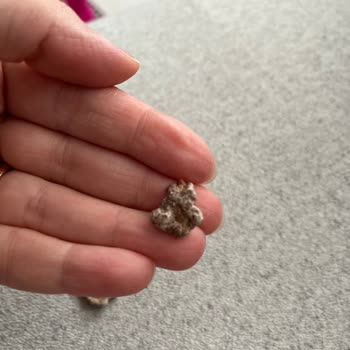 Nestle Nesfit Çikolatalı Mısır Gevreğinde Beyaz Küf Ve Sağlık Riski