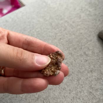 Nestle Nesfit Çikolatalı Mısır Gevreğinde Beyaz Küf Ve Sağlık Riski