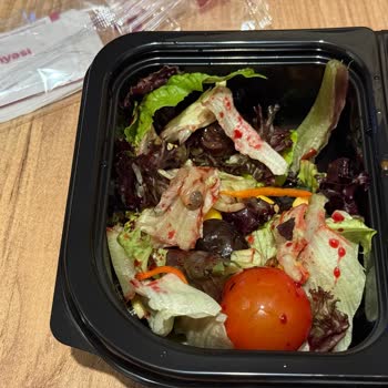 Salatadan Salyangoz Çıktı, Ücret İadesi Reddedildi