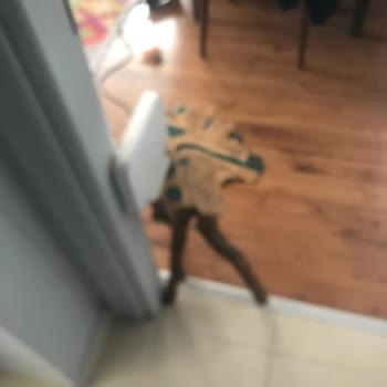 On Yıllık Turkcell Superonline Abonesinde Kesintili İnternet Ve Wi‑Fi Sorunları