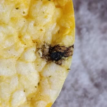 Eti Gong Ballı Hardallı Mısır Patlağında Belirlenemeyen Siyah Cisim Ve Boyanmış Taneler