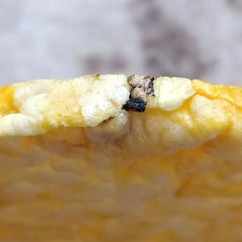 Eti Gong Ballı Hardallı Mısır Patlağında Belirlenemeyen Siyah Cisim Ve Boyanmış Taneler