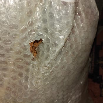 Patlamış Kargo Zorla Teslim Edildi Müşteriyi Mağdur Etti