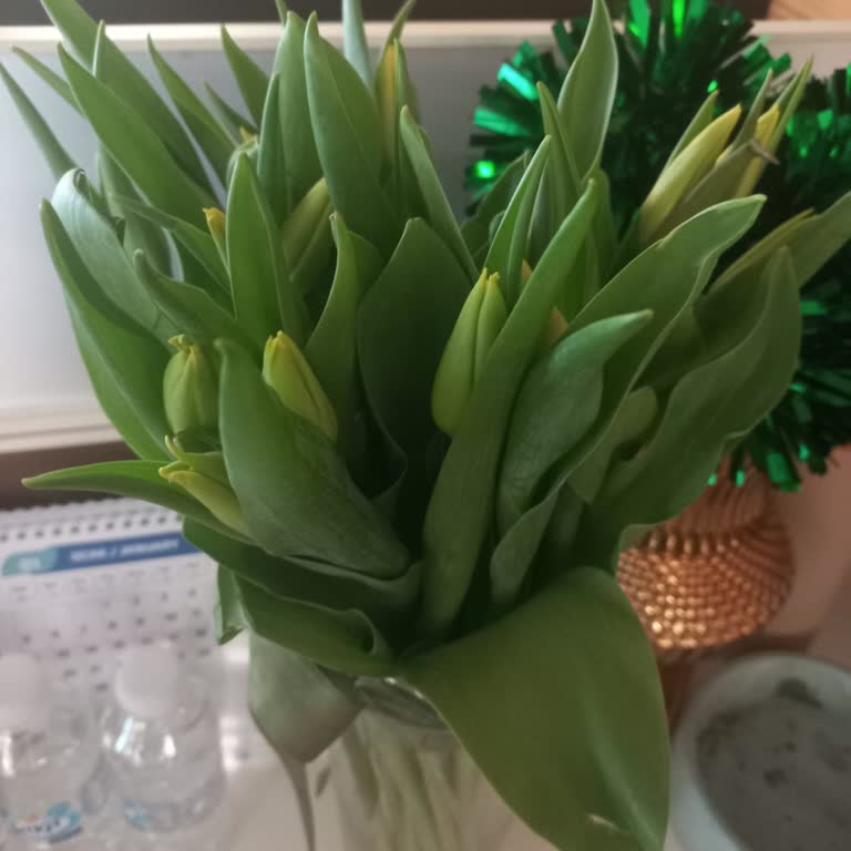 Hızlı Çiçek | Hizlicicek.com Görsel İle Hiçbir Şekilde Uyuşmuyor