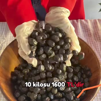 Parem Zeytincilik Zeytinler Oldukça Küçük ve İlanda Sunulan Görsellerle Alakası Yok