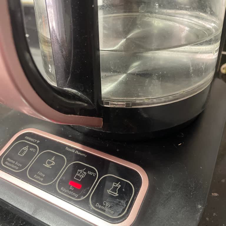 Karaca Çaycının Kronik Bir Probleme Sahip Olduğunu Düşündürüyor