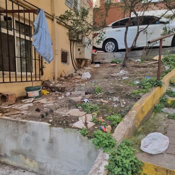 Şişli Paşa Mahallesi Sokakların Temizlenmemesi Ve Böcek Sorunu İçin Acil Çözüm Talebi