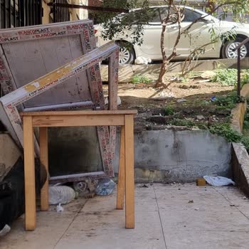 Şişli Paşa Mahallesi Sokakların Temizlenmemesi Ve Böcek Sorunu İçin Acil Çözüm Talebi