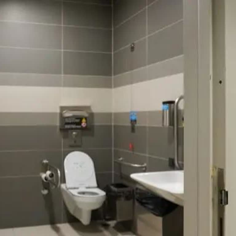 Engelli Tuvaletleri Gereksiz Kilitleniyor, Acil İhtiyacı Engelliyor