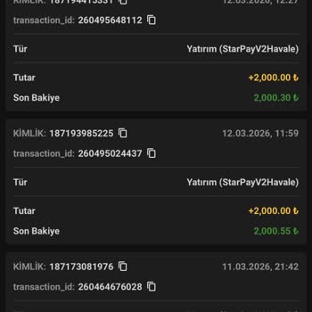 Casinoroys’ta Kazancı Ödenmeyen 60.000 TL’lik Slot Oyunları ve Yanıltıcı Bonuslar İçin İade Talebi