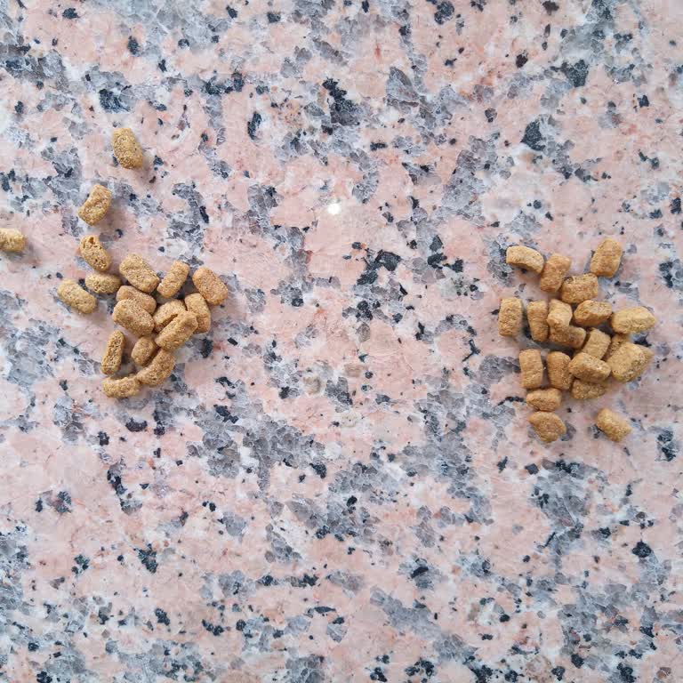 Markamama’dan Aldığım Somonlu Mama Orijinal Değil, İade Talebi