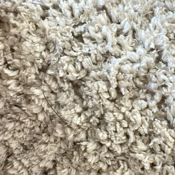 Atakum Halı Yıkama’da Yıkanmamış Halı Teslimatı Ve Güven Kaybı