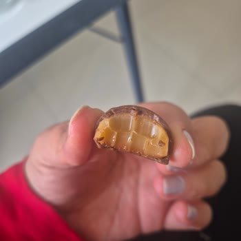 Gloria Caramel Chocolate’da Sert Karamel Sorunu Ve İade Talebi