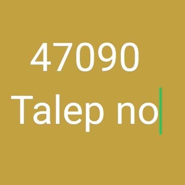 Volta Ev2'de Fren Ve Yanık Kokusu Sorunu, Serviste Uzun Bekleme Ve Parça Eksikliği