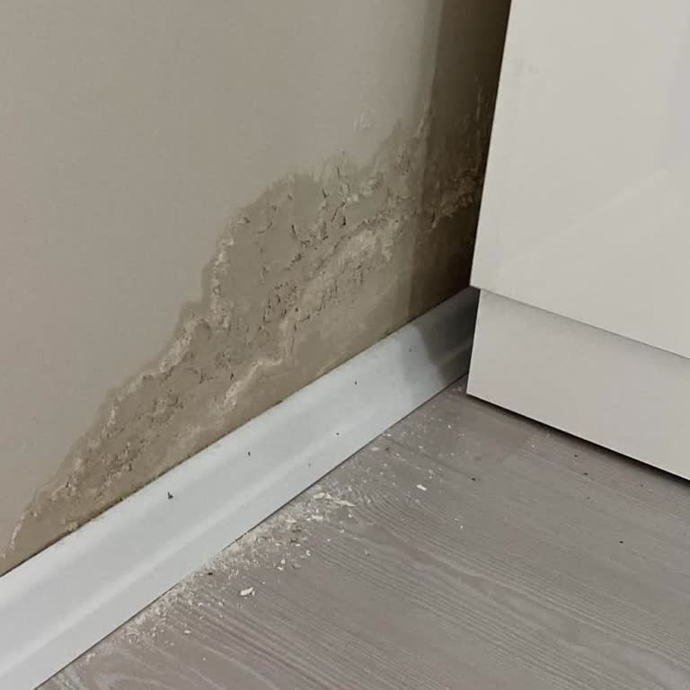 Yanlış Kapsam Reddi Ve Süren Su Sızıntısı