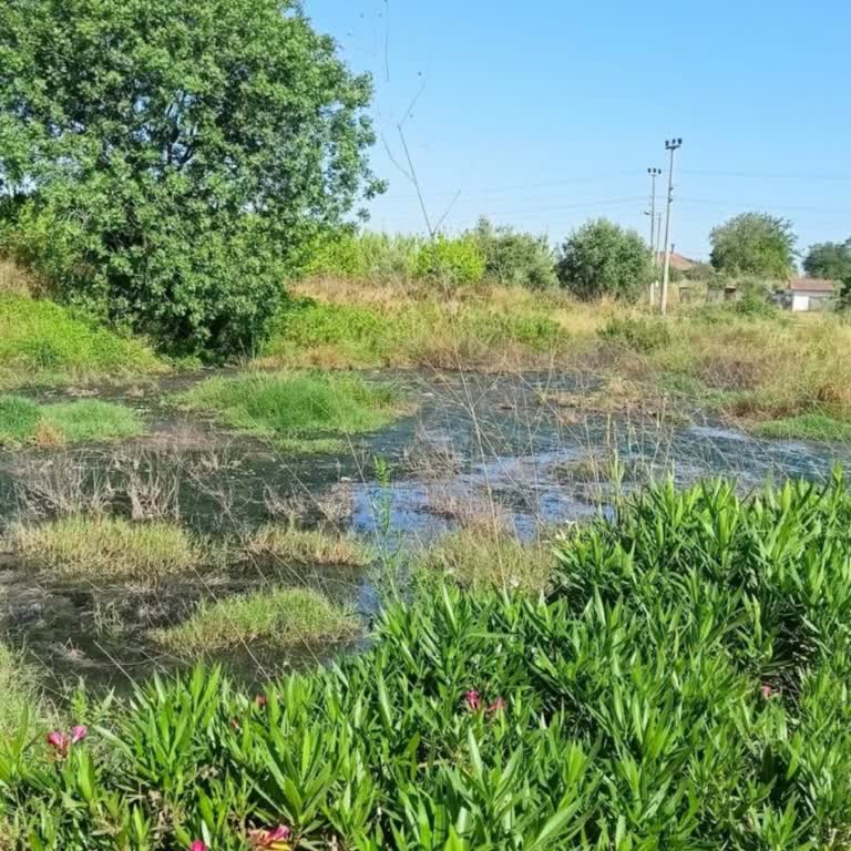 Kanalizasyon Sorunu Nedeniyle TOKİ Evlerine Taşınamıyor