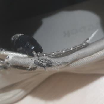 Garanti Kapsamında Üretim Hatası Olan Ayakkabı Reddedildi, Ücret İadesi Talebi