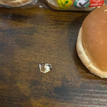 Hamburger Ekmeği İçinde Civata Keşfi Ve Untad'dan Geri Dönüş Yokluğu