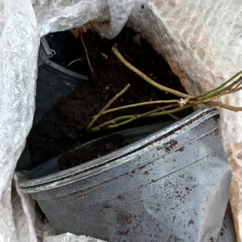 Yanıltıcı Reklam Ve Teslim Edilen Çöplük Paket İçin 800 TL İade Talebi