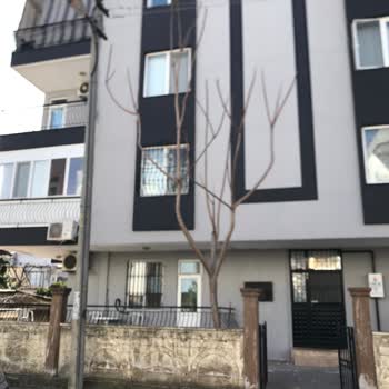 Tam Ödeme Sonrası İşin Tamamlanmaması Ve İndirim İadesi Talebi