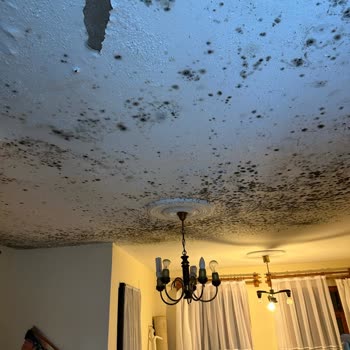 Hepiyi Sigorta'nın Hasar Tutarını Kesmesi Ve Süreçteki Gecikmeler